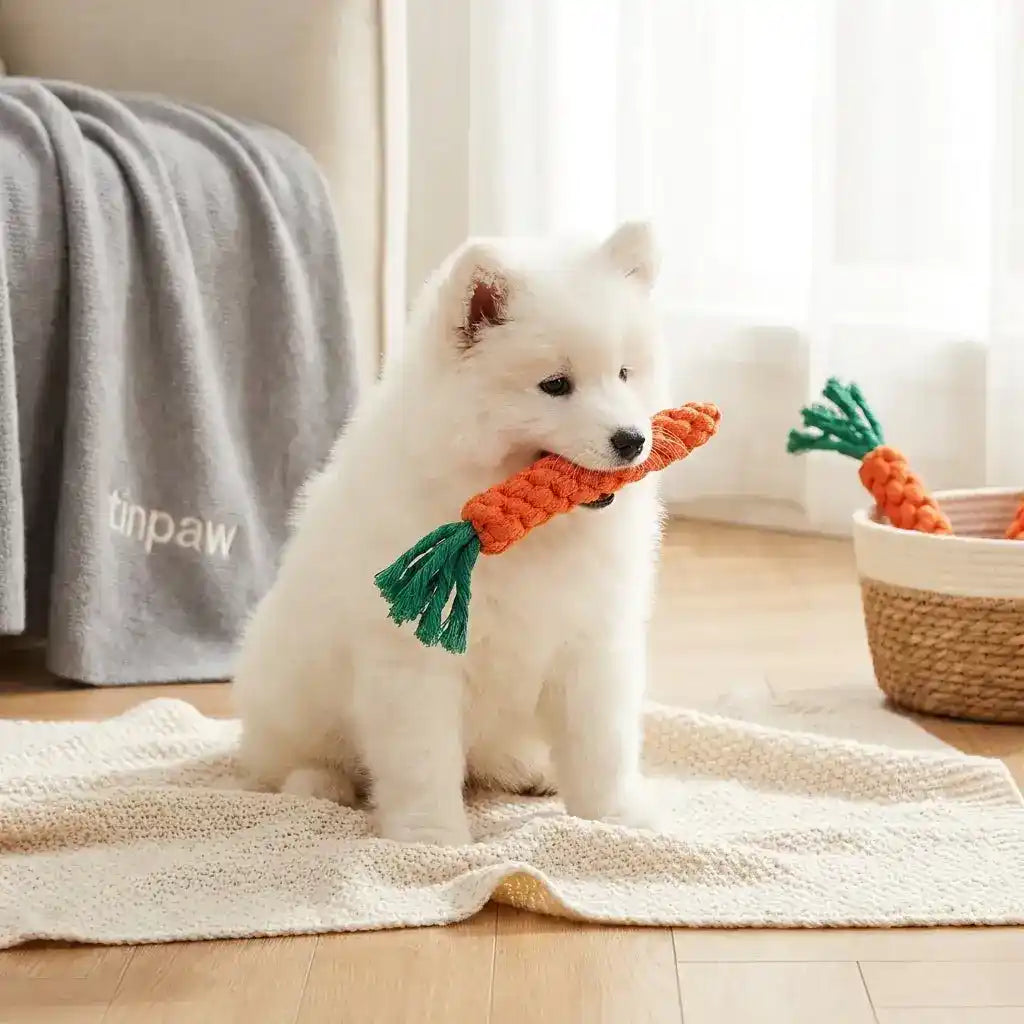 Cotton Rope Carrot Dog Chew Toy For Dental Health - Dog Toys - TinPaw