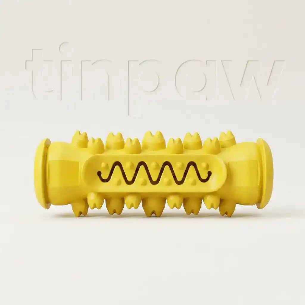 Dog Dental Chew Toy – Tough TPR Teeth Cleaning Brush - Dog Toys - New