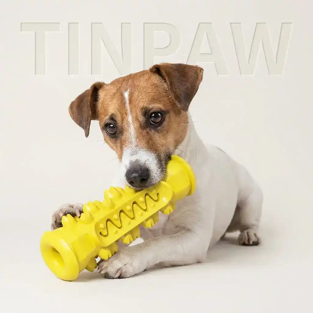 Dog Dental Chew Toy – Tough TPR Teeth Cleaning Brush - Dog Toys - New
