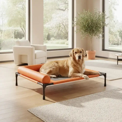 Elevated Breathable Pet Camping Bed – Foldable & Portable - Dog Beds & Furniture - TinPaw