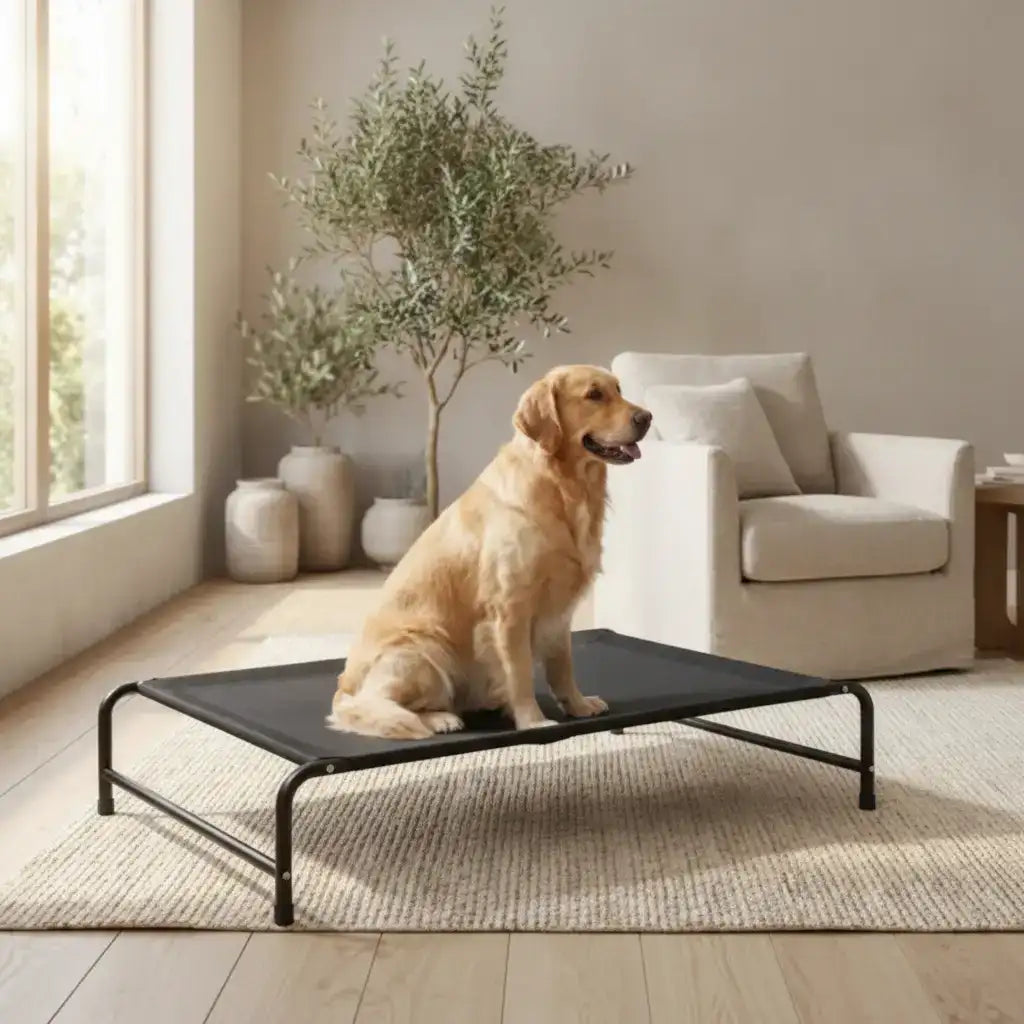 Sturdy Breathable Support Dog Bed | Iron Frame Dog Bed – Breathable S–XL for Large Dogs | TinPaw