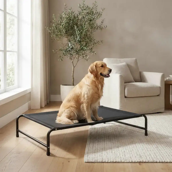 Moisture-Proof Pet Kennel Bed | Moisture-Proof Elevated Dog Bed Kennel – All Sizes | TinPaw