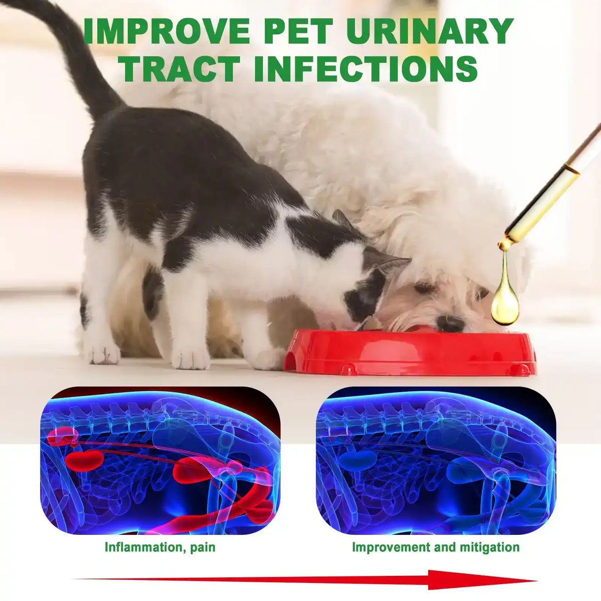 Gentle Daily Care Drops For Dogs And Cats 60 ml - Dog Health - TinPaw