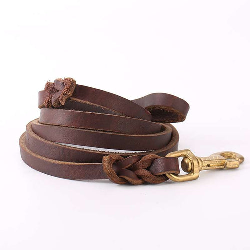 Genuine Leather Dog Lead With Copper Hook - Dog Gear - TinPaw