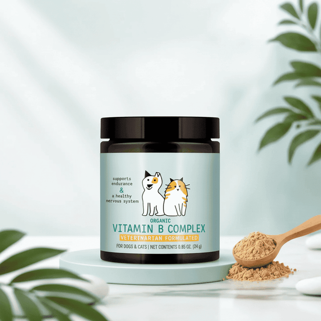 Vitamin B complex pet supplement tin label for dogs and cats