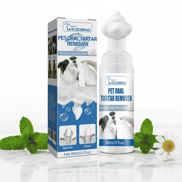 Pet dental foam bottle and carton box, 60 ml tartar remover