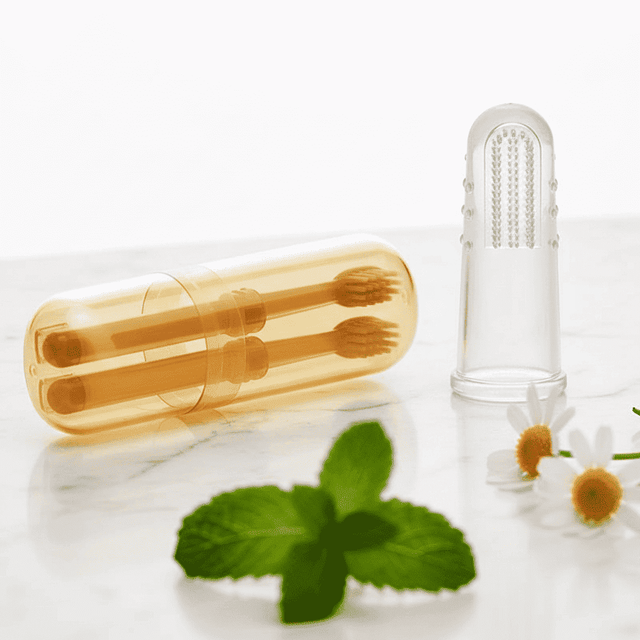 Silicone pet finger toothbrushes with dual silicone bristle heads in clear holder