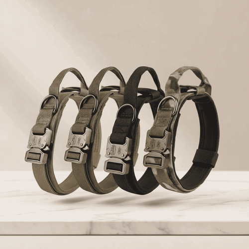 Adjustable tactical nylon dog collar set with dual buckles and metal rings, olive and black
