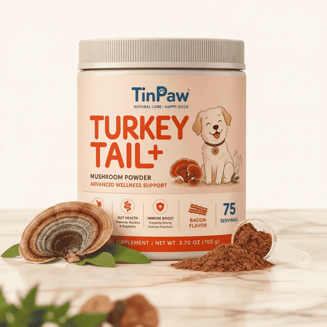 TinPaw Turkey Tail+ dog mushroom powder supplement jar with 75 servings, 105 g