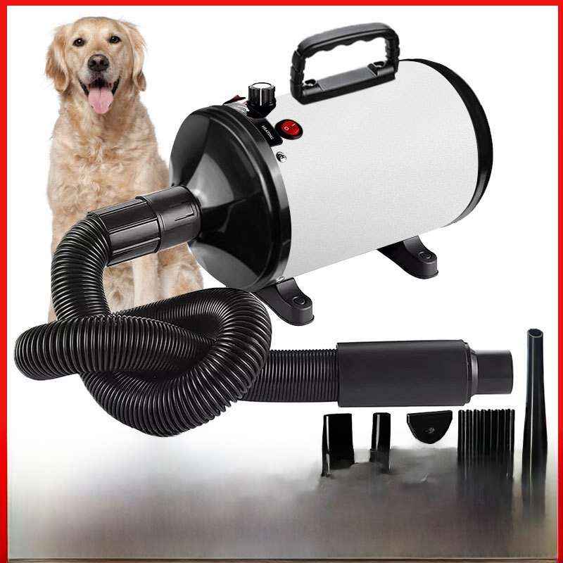 High - Power Pet Grooming Dryer & Water Blower 2800W - Dog Grooming - TinPaw