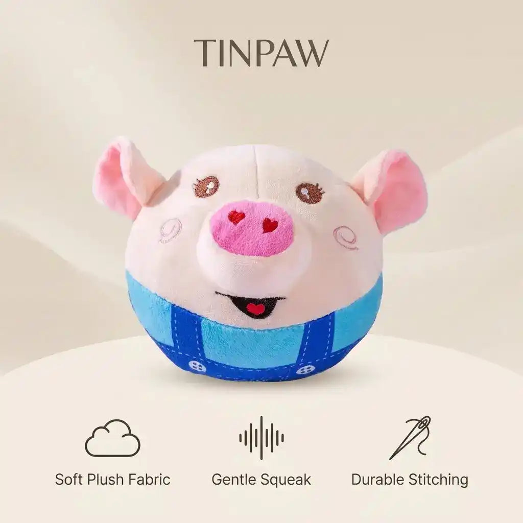 Interactive Jumping Dog Ball Toy – Squeak & Music - Dog Toys - New