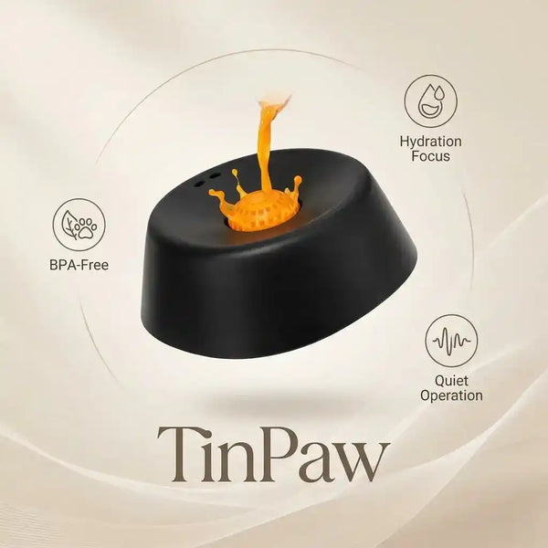 Large Slow Feed Dog Bowl With Interactive Rolling Ball - Slow Feeding Bowl - TinPaw