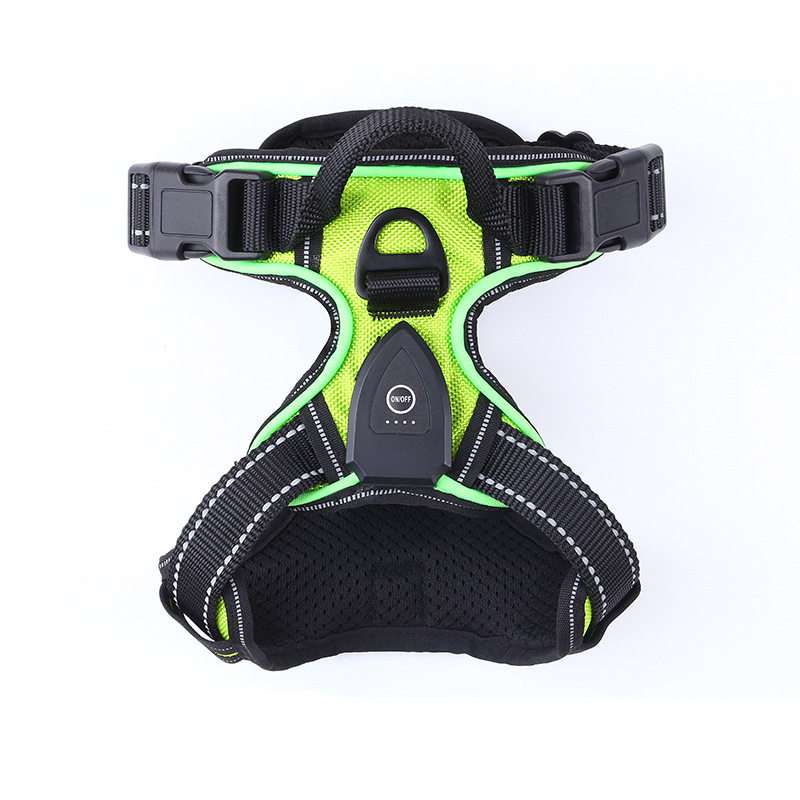 LED Light Up Dog Harness & Leash – USB Rechargeable - Dog Gear - TinPaw