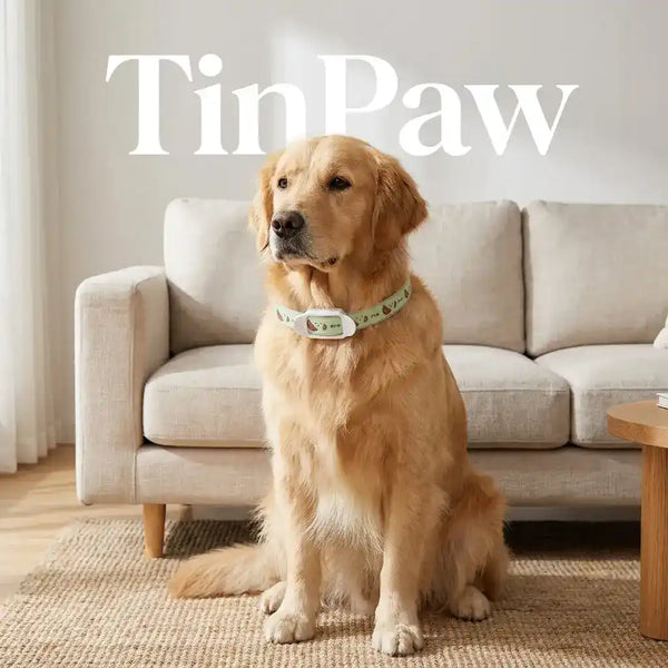 Natural Flea & Tick Collar for Dogs and Cats - Flea & Parasite Control - TinPaw