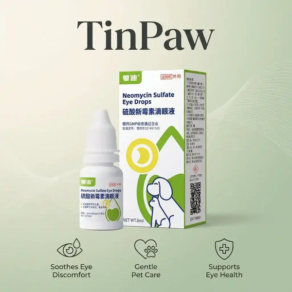 Pet Antibacterial Eye Drops For Dogs And Cats - Dog Health - TinPaw