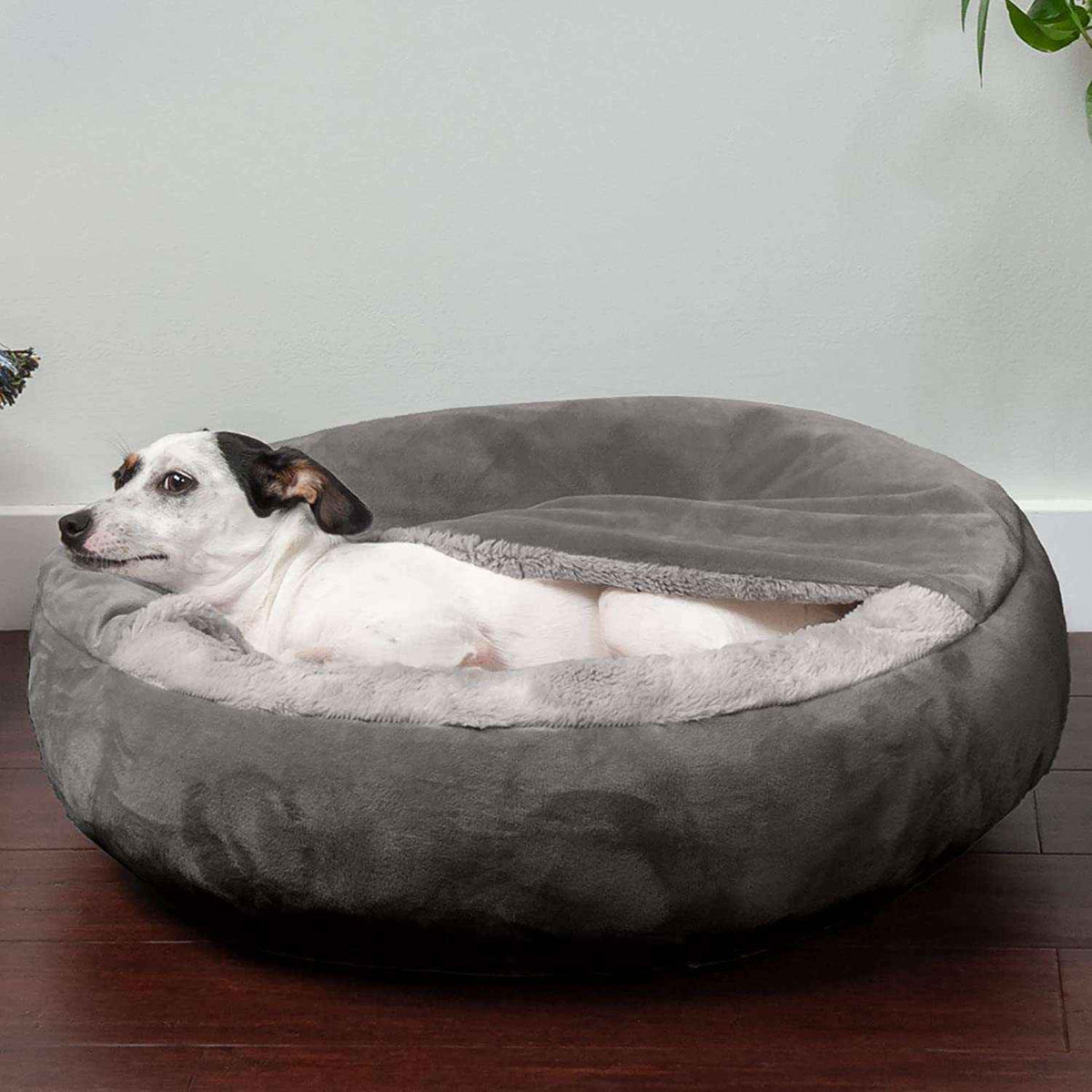 Plush Enclosed Pet House with Blanket & Cover - Dog Beds & Furniture - TinPaw - Gray - L 80x80cm - SU00140426 - Gray - L 80x80cm