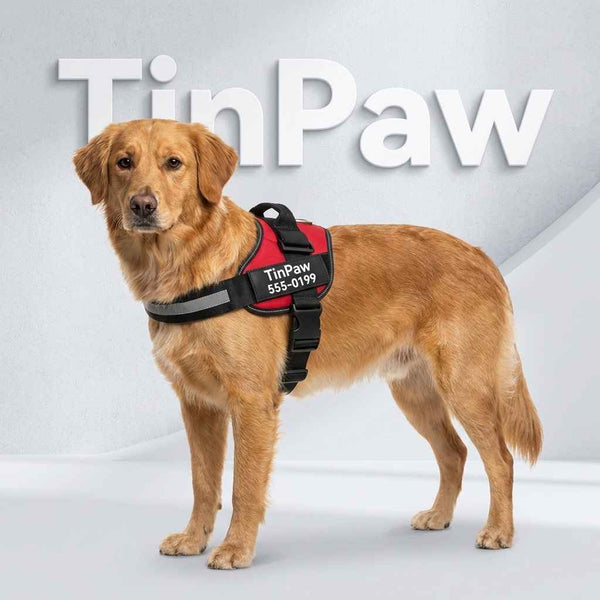 Adjustable Dog Harness with Reflective Lead - Dog Gear - TinPaw