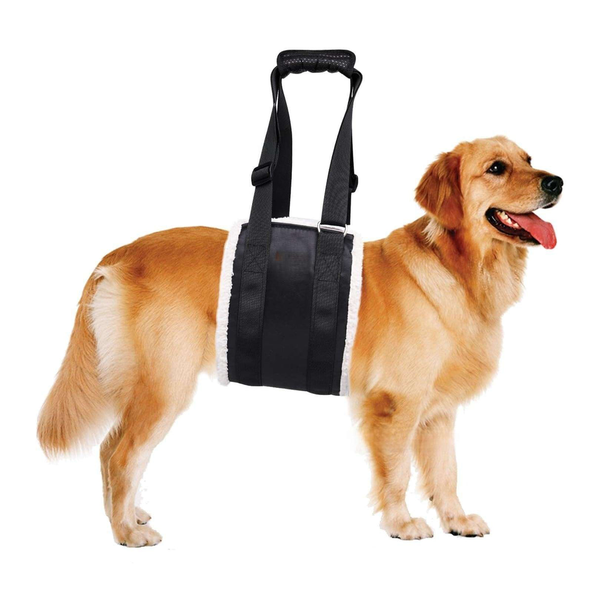 Reflective Dog Recovery Harness – Adjustable Support - Dog Gear - TinPaw - Black regular style - M length 53cm width 16cm - SU00353450 - Black regular style - M length 53cm width 16cm