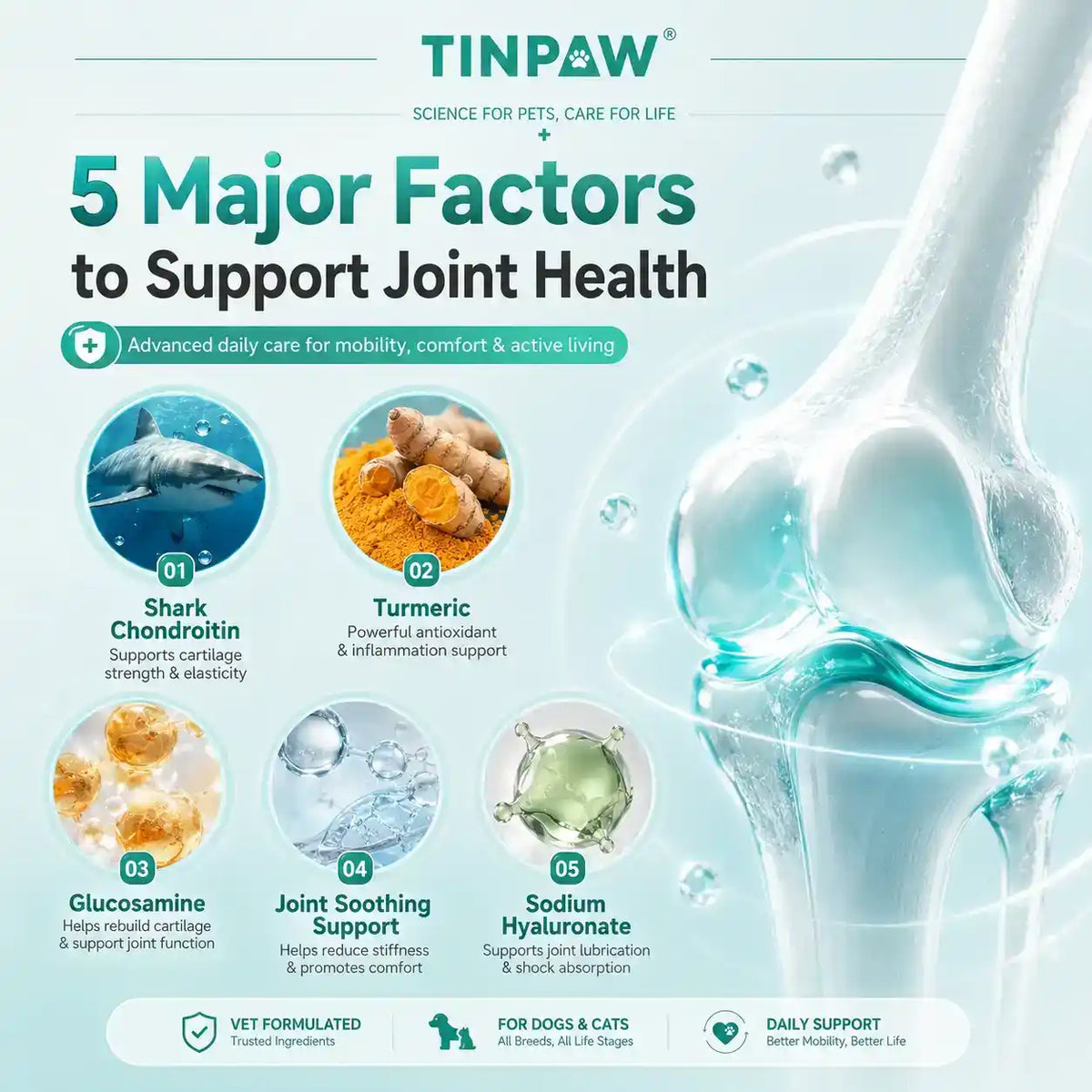 Shark Chondroitin Calcium Dog Supplement | TinPaw - Vitamins & Supplements - TinPaw