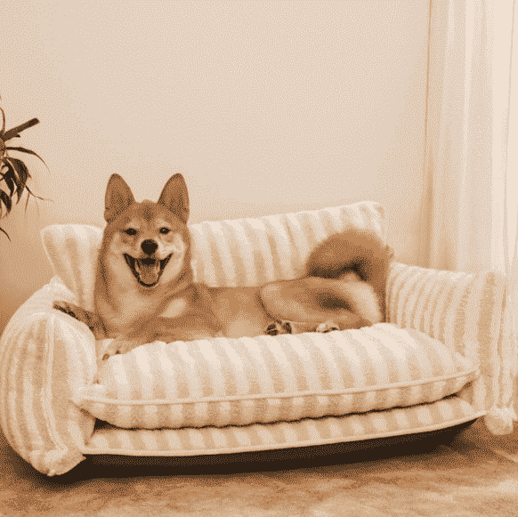 Striped Sofa Dog Bed – Removable, Washable Cover - Dog Beds & Furniture - TinPaw - Beige Brown Stripe - XXL 120x70x40cm - SU00360729 - Beige Brown Stripe - XXL 120x70x40cm