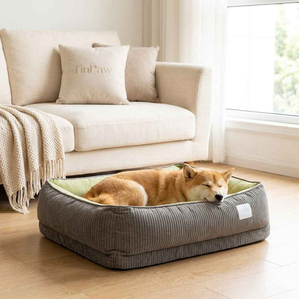 Washable Dog Bed with Removable Cover – All - Season Comfort - Dog Beds & Furniture - TinPaw