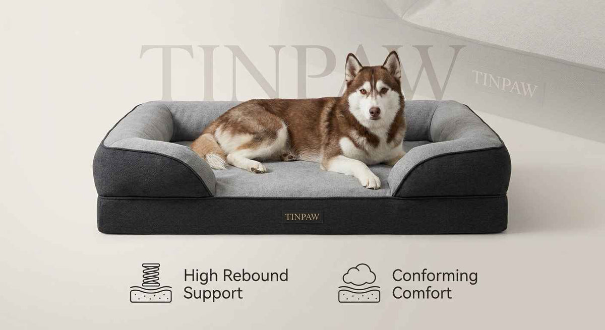 Washable Pet Sofa Bed With Removable Cover - Dog Beds & Furniture - TinPaw