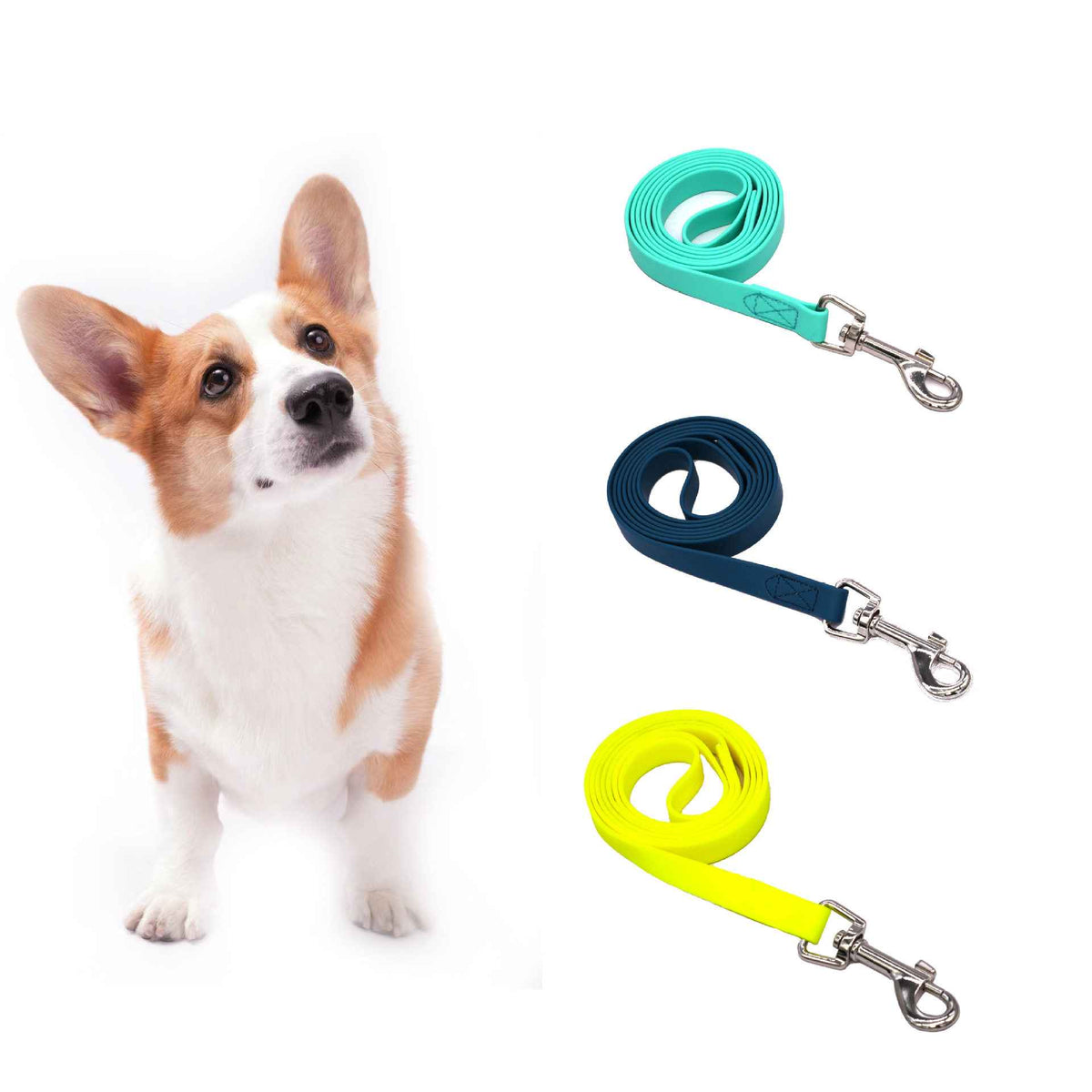 Waterproof PVC Dog Leash – Odour - Proof 1.2m Lead - Dog Gear - TinPaw